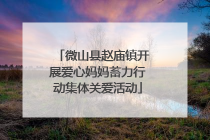 微山县赵庙镇开展爱心妈妈蓄力行动集体关爱活动