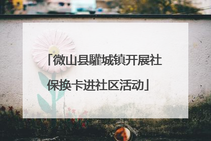 微山县驩城镇开展社保换卡进社区活动