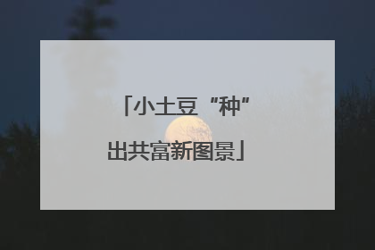 小土豆“种”出共富新图景