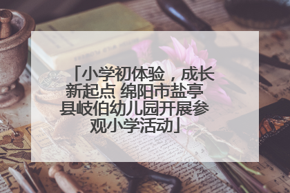 小学初体验，成长新起点 绵阳市盐亭县岐伯幼儿园开展参观小学活动