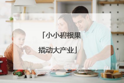 小小碧根果撬动大产业