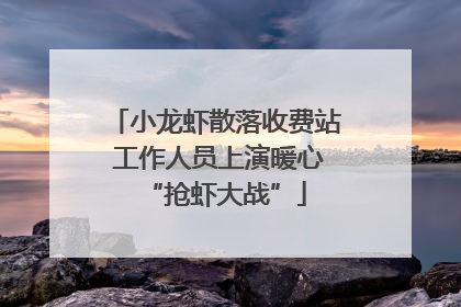 小龙虾散落收费站 工作人员上演暖心“抢虾大战”