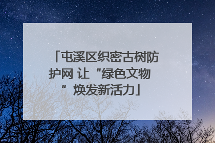 屯溪区织密古树防护网 让“绿色文物”焕发新活力