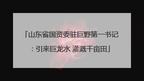 山东省国资委驻巨野第一书记：引来巨龙水 灌溉千亩田