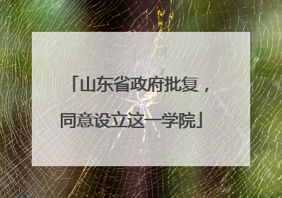 山东省政府批复，同意设立这一学院
