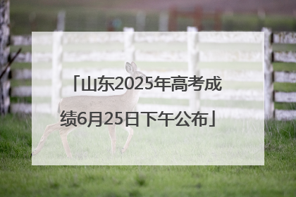 山东2025年高考成绩6月25日下午公布