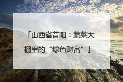 山西省昔阳：蔬菜大棚里的“绿色财富”