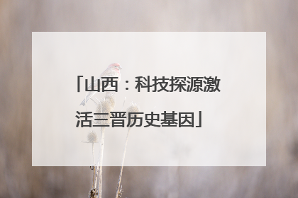 山西：科技探源激活三晋历史基因