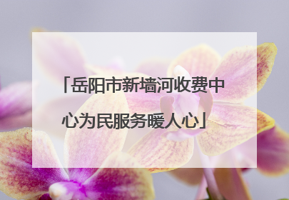 岳阳市新墙河收费中心为民服务暖人心