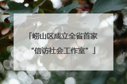 崂山区成立全省首家“信访社会工作室”