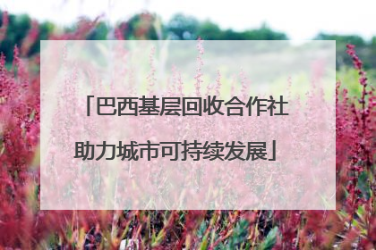 巴西基层回收合作社助力城市可持续发展