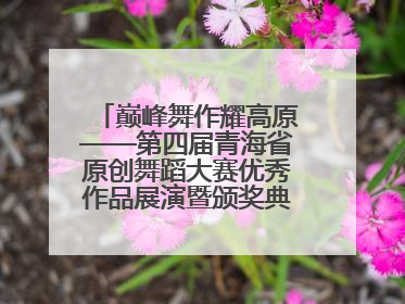 巅峰舞作耀高原——第四届青海省原创舞蹈大赛优秀作品展演暨颁奖典礼璀璨收官