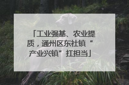 工业强基、农业提质，通州区东社镇“产业兴镇”扛担当