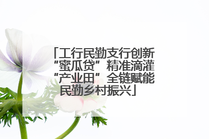 工行民勤支行创新“蜜瓜贷”精准滴灌“产业田”全链赋能民勤乡村振兴