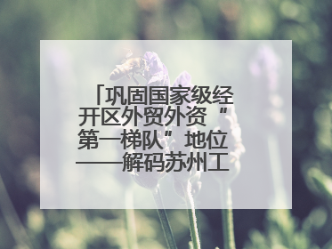 巩固国家级经开区外贸外资“第一梯队”地位——解码苏州工业园区样本