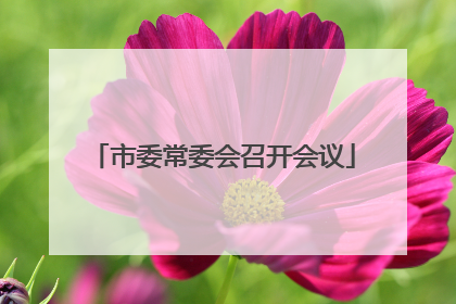 市委常委会召开会议