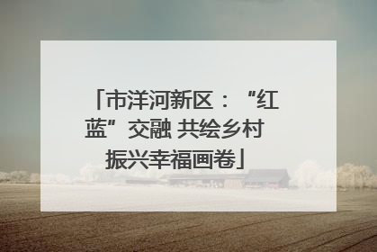 市洋河新区：“红蓝”交融 共绘乡村振兴幸福画卷