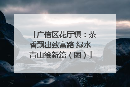 广信区花厅镇：茶香飘出致富路 绿水青山绘新篇（图）