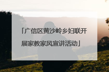 广信区黄沙岭乡妇联开展家教家风宣讲活动