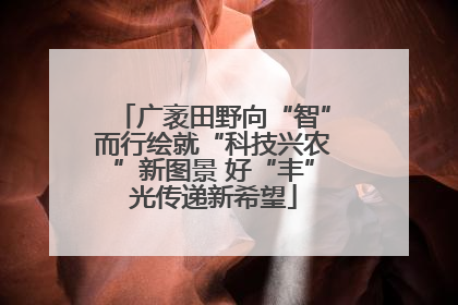 广袤田野向“智”而行绘就“科技兴农”新图景 好“丰”光传递新希望