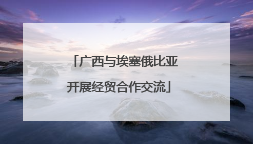 广西与埃塞俄比亚开展经贸合作交流