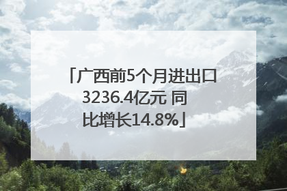 广西前5个月进出口3236.4亿元 同比增长14.8%