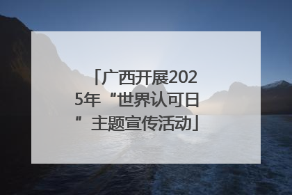 广西开展2025年“世界认可日”主题宣传活动
