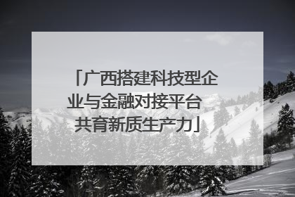 广西搭建科技型企业与金融对接平台 共育新质生产力