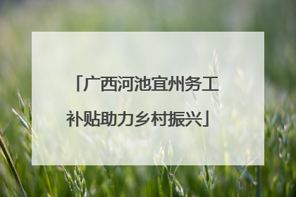 广西河池宜州务工补贴助力乡村振兴