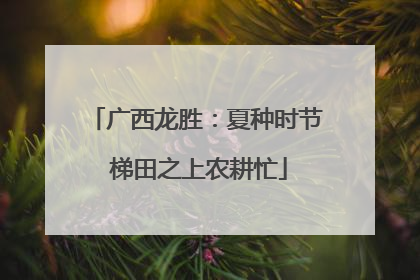 广西龙胜：夏种时节 梯田之上农耕忙