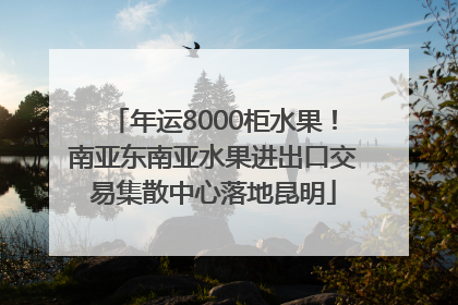 年运8000柜水果！南亚东南亚水果进出口交易集散中心落地昆明