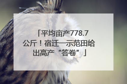 平均亩产778.7公斤！宿迁一示范田给出高产“答卷”