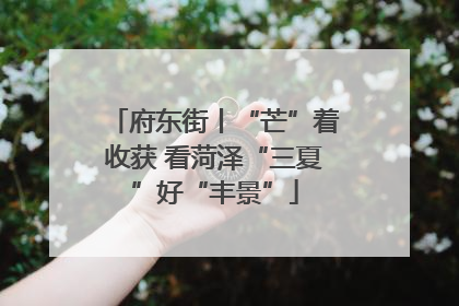 府东街丨“芒”着收获 看菏泽“三夏”好“丰景”