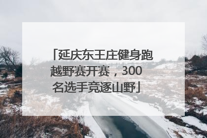 延庆东王庄健身跑越野赛开赛，300名选手竞逐山野