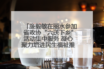 廉毅敏在丽水参加省政协“六送下乡”活动集中服务 凝心聚力增进民生福祉推进共同富裕