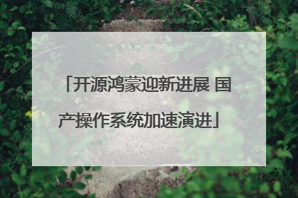开源鸿蒙迎新进展 国产操作系统加速演进