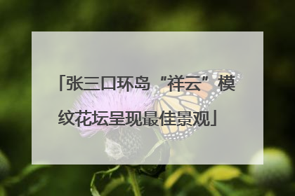 张三口环岛“祥云”模纹花坛呈现最佳景观