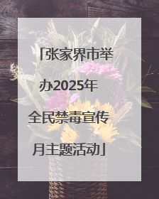 张家界市举办2025年全民禁毒宣传月主题活动