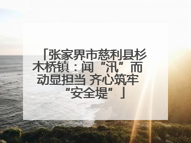 张家界市慈利县杉木桥镇：闻“汛”而动显担当 齐心筑牢“安全堤”