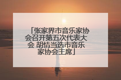 张家界市音乐家协会召开第五次代表大会 胡情当选市音乐家协会主席