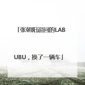 张朝阳退回的LABUBU，换了一辆车