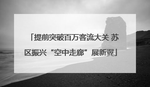 提前突破百万客流大关 苏区振兴“空中走廊”展新翼