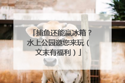 捕鱼还能赢冰箱？水上公园邀您来玩（文末有福利）