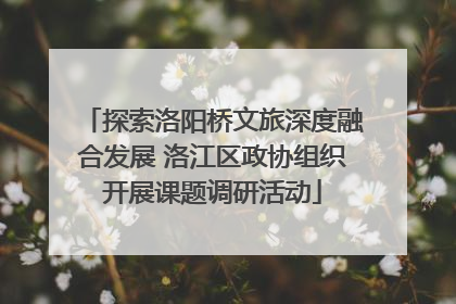 探索洛阳桥文旅深度融合发展 洛江区政协组织开展课题调研活动