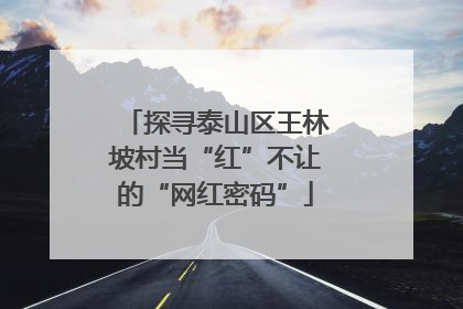 探寻泰山区王林坡村当“红”不让的“网红密码”