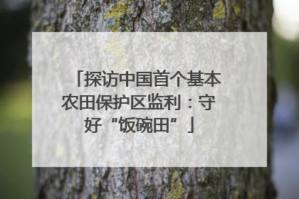 探访中国首个基本农田保护区监利：守好“饭碗田”