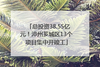 总投资38.55亿元！漳州芗城区13个项目集中开竣工