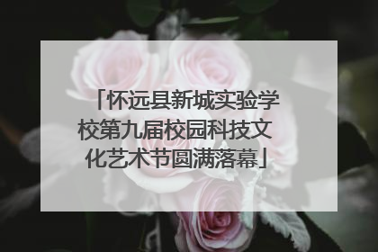 怀远县新城实验学校第九届校园科技文化艺术节圆满落幕