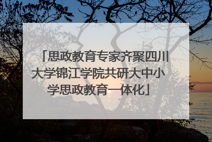 思政教育专家齐聚四川大学锦江学院共研大中小学思政教育一体化