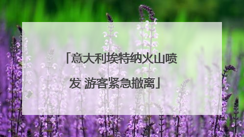 意大利埃特纳火山喷发 游客紧急撤离